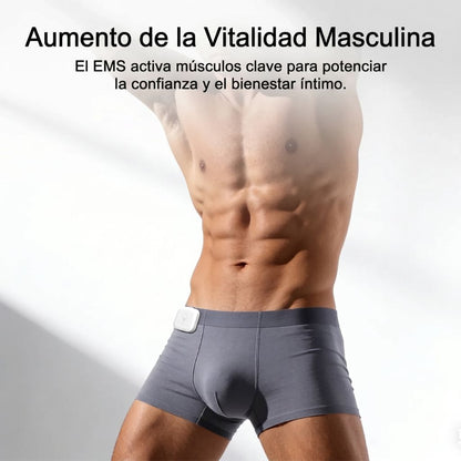 Boxer EMS
